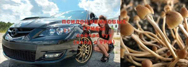 ALPHA-PVP Алзамай