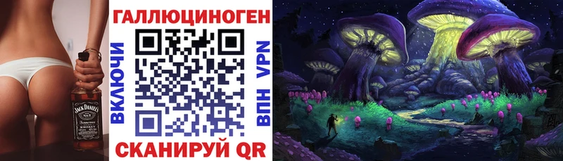 Галлюциногенные грибы Psilocybine cubensis  закладки  Енисейск 